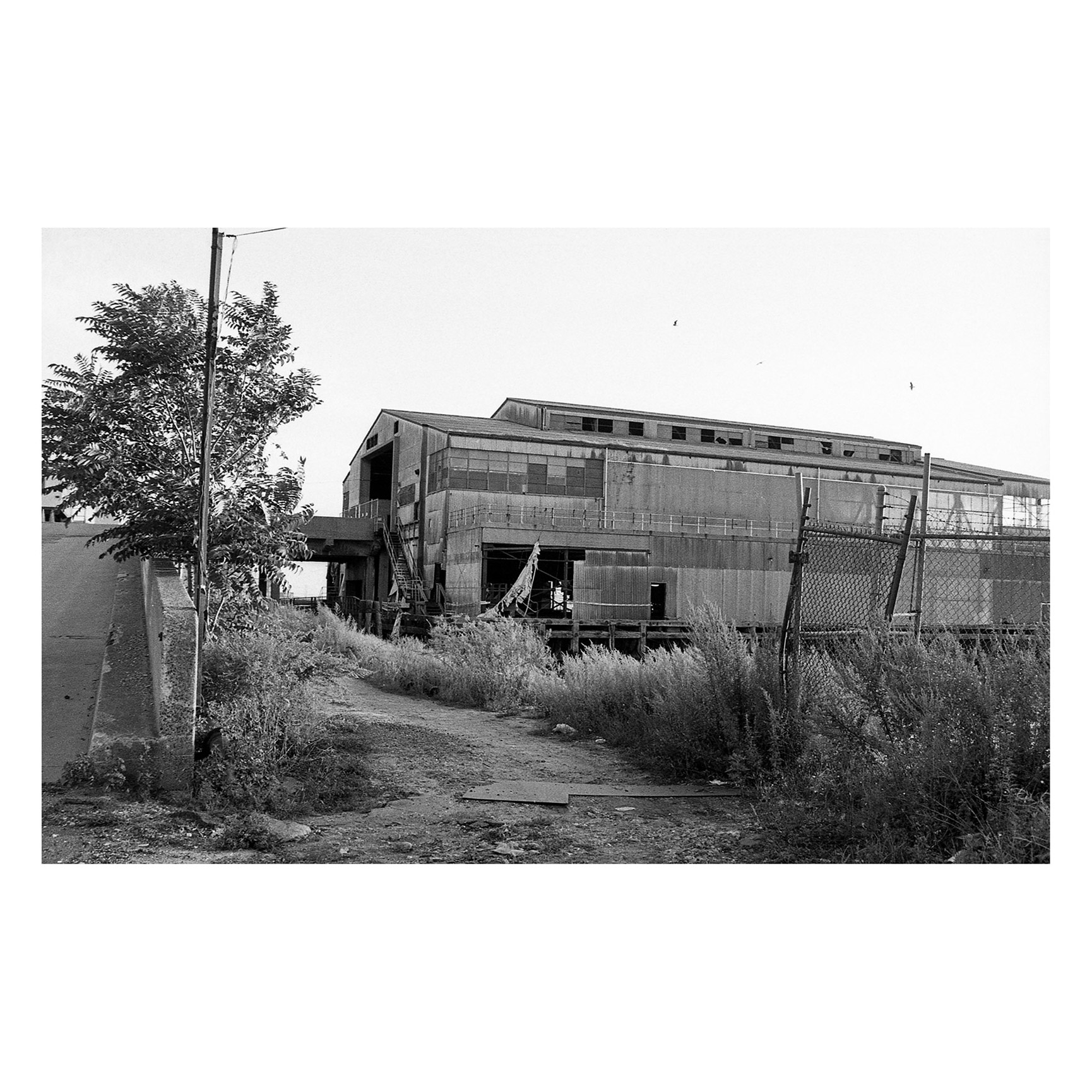 Interlude-Docs_Will-Howell_01